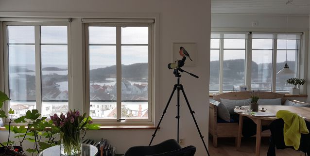 Zip-screen, en vindtålig markis här på västkusten